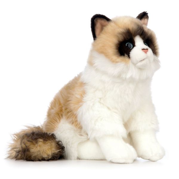 Ragdoll Cat - 25cm